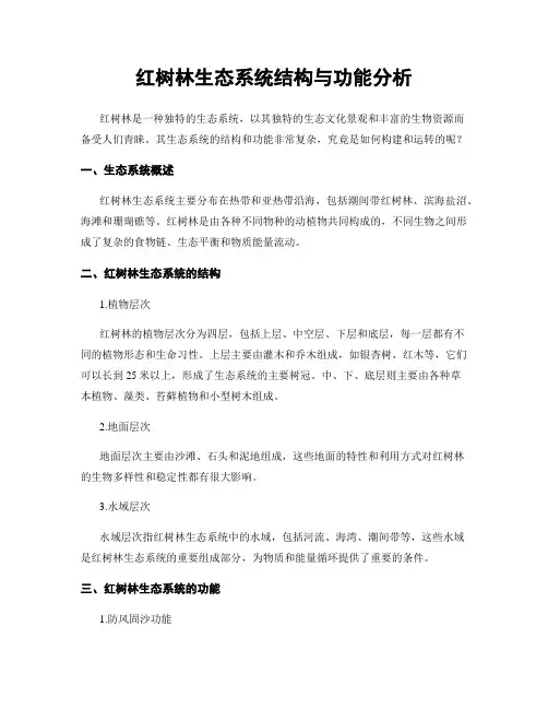 红树林生态系统结构与功能分析