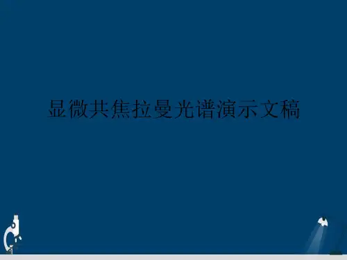 显微共焦拉曼光谱演示文稿