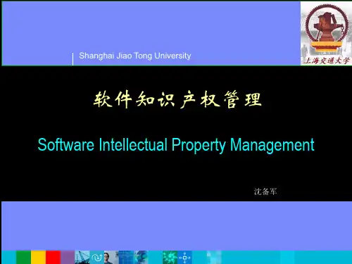 软件知识产权管理ppt课件