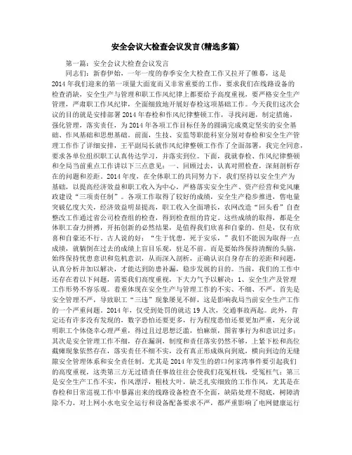 安全会议大检查会议发言(精选多篇)