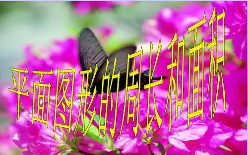 人教版六年级数学下册《总复习平面图形的周长和面积》课件PPT[1] 2