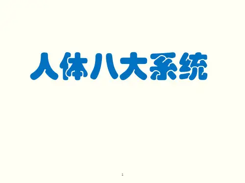 人体八大系统PPT优秀课件