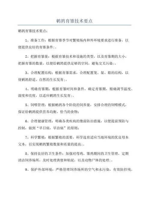 鹌鹑育雏技术要点