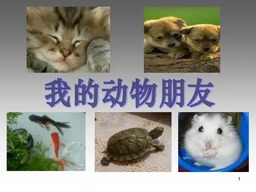 部编版语文四年级下册《我的动物朋友》