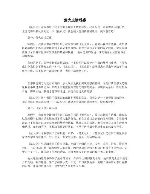 萤火虫读后感 2