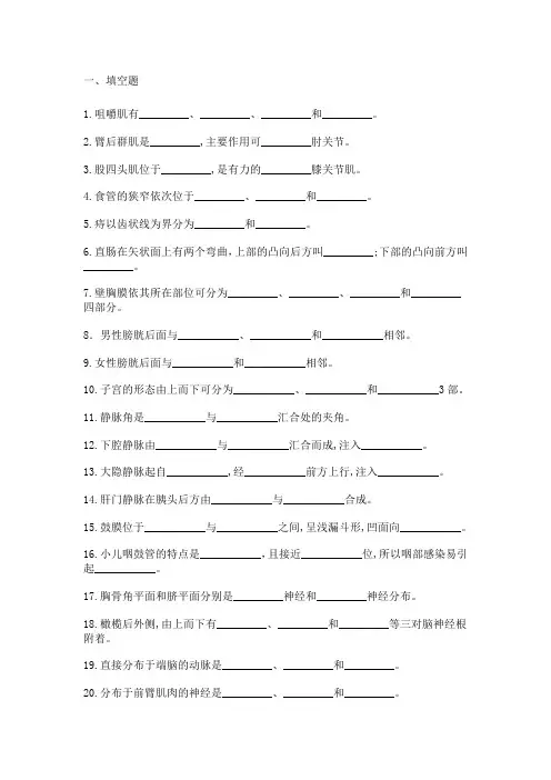 系统解剖学试题及答案