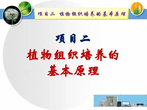 植物组织培养的基本原理