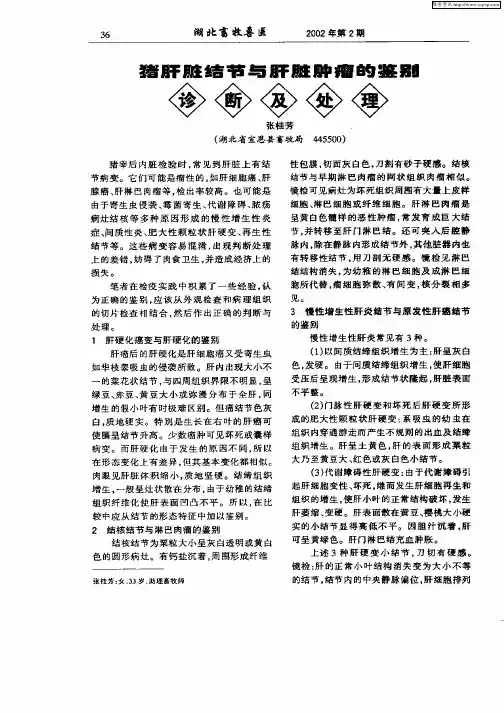 猪肝脏结节与肝脏肿瘤的鉴别诊断及处理