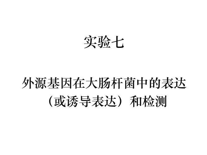 实验 7  外源基因在大肠杆菌中的表达(或诱导表达)和检测 (1)
