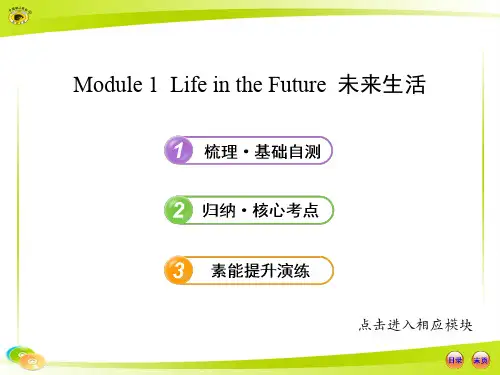 必修4--Module-1外研社高中英语必修四单元1各知识点