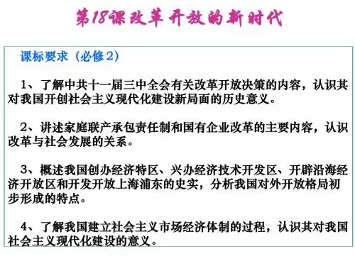 改革开放的新时代