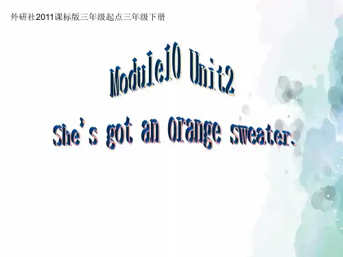 外研版(三起)-英语-三年级下册-Module 10 Unit 2 She's got an orange sweater.精品课件