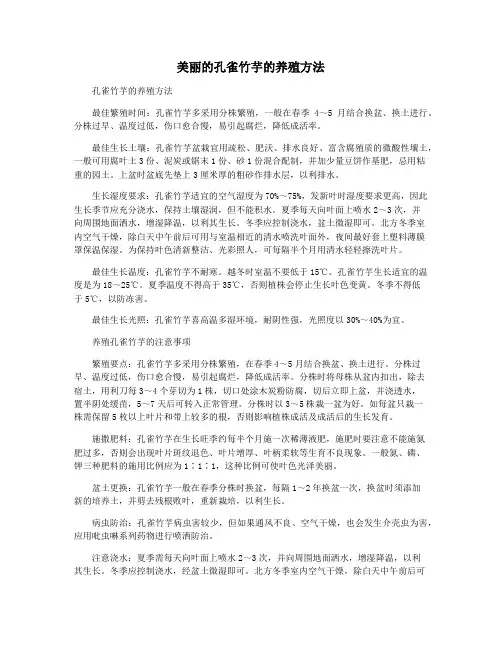 美丽的孔雀竹芋的养殖方法