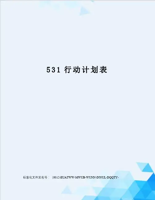 531行动计划表