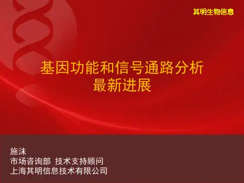 富集分析