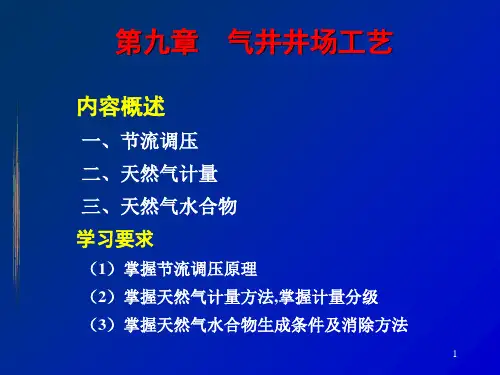 天然气工程教程第9章气井井场工艺