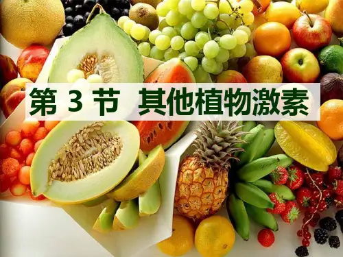 人教教材《其他植物激素》名师推荐ppt1