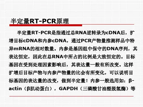 Taqman探针及SYBR Green I荧光染料技术教学内容
