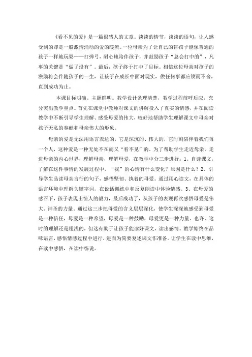 看不见的爱评课