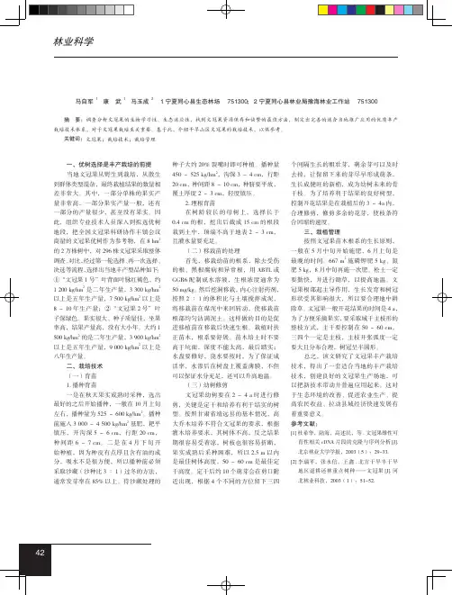 干旱山区文冠果栽培技术