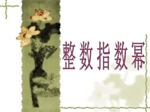 整数指数幂(一)-