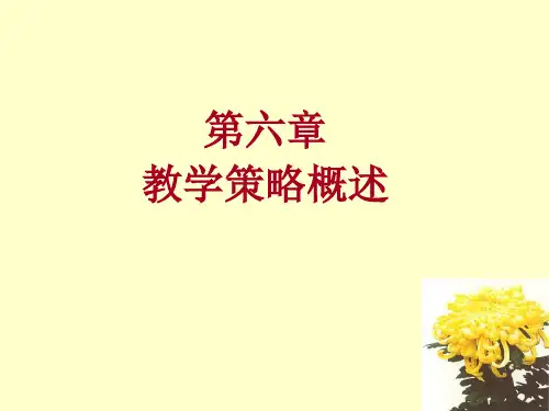 第六章教学策略概述