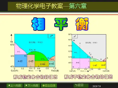 (物理化学D(下))第6章 相平衡