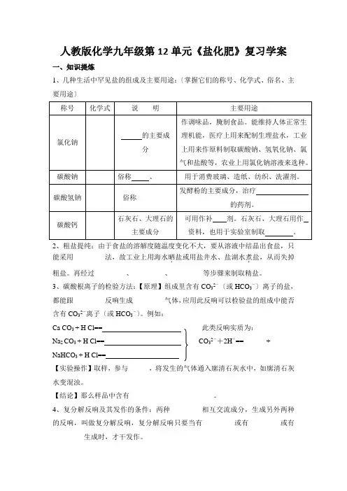 人教版化学九年级第12单元《盐化肥》复习学案
