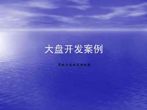 华业代理-新区大盘开发案例