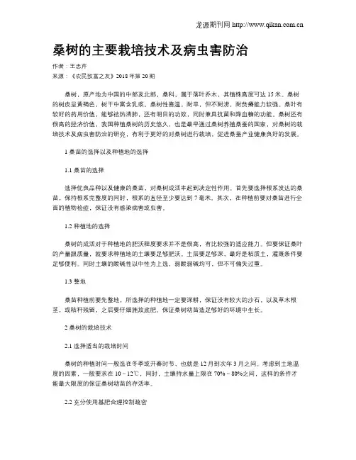 桑树的主要栽培技术及病虫害防治