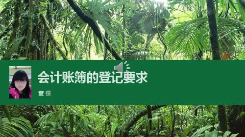 会计账簿的登记规则