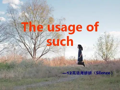 such的用法