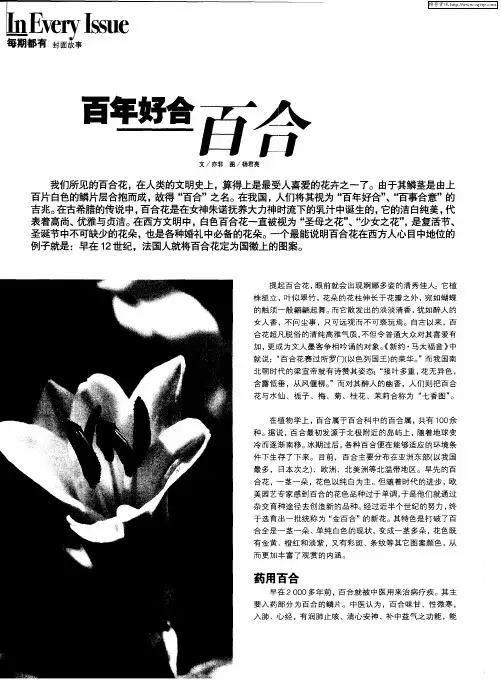 百年好合：百合
