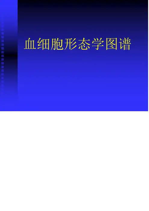 血细胞图谱大全