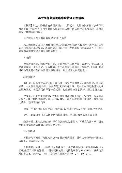 鸡大肠杆菌病的临床症状及防治措施