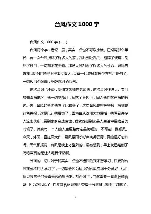 台风作文1000字