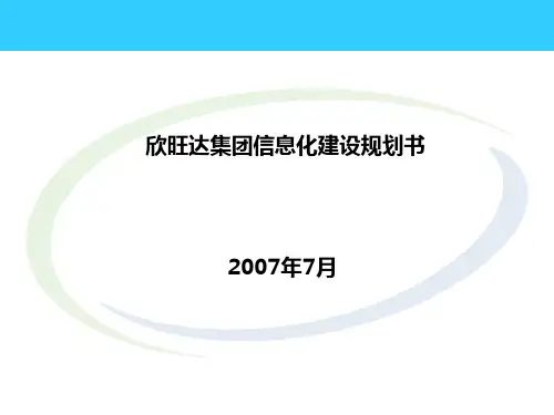 IT规划书解读