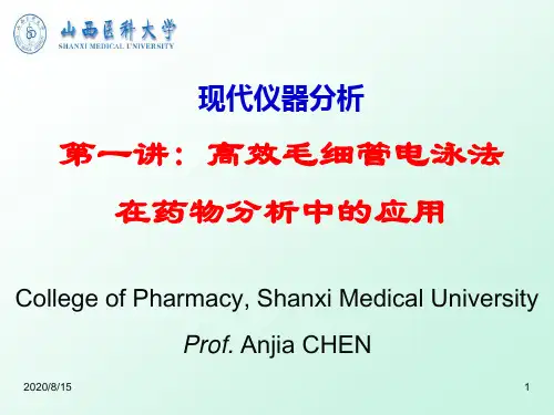 2020年第一讲_高效毛细管电泳法在药物分析中的应用(chaj)参照模板