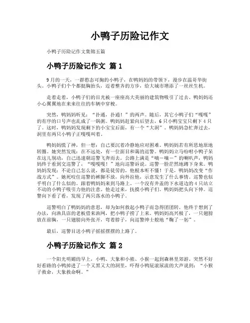 小鸭子历险记作文