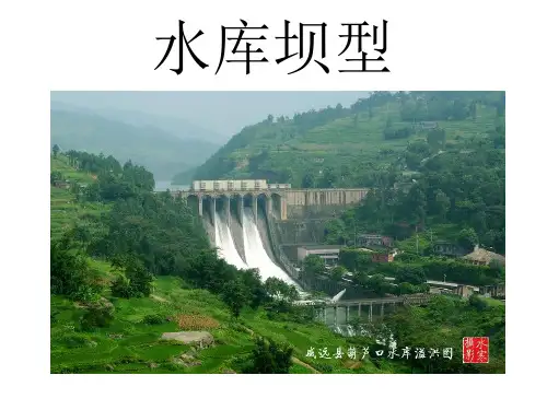 稿1-水库坝型讲义.