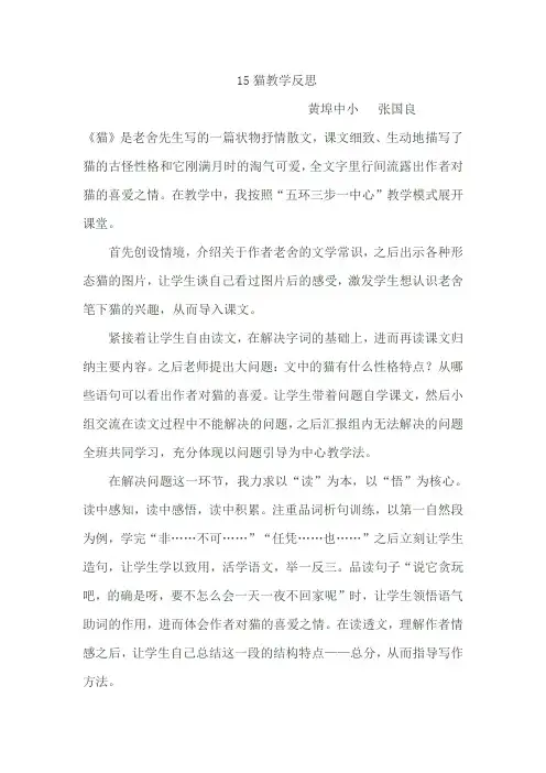15猫教学反思