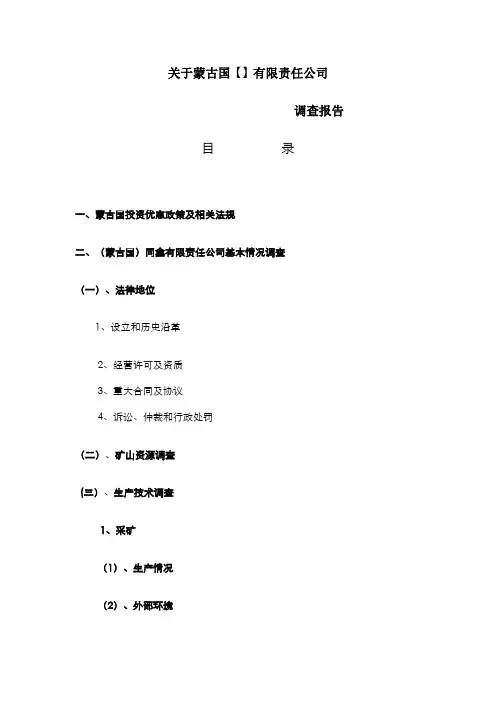 蒙古国矿产尽职报告