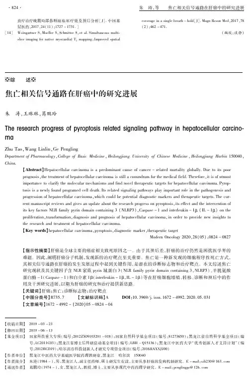 焦亡相关信号通路在肝癌中的研究进展