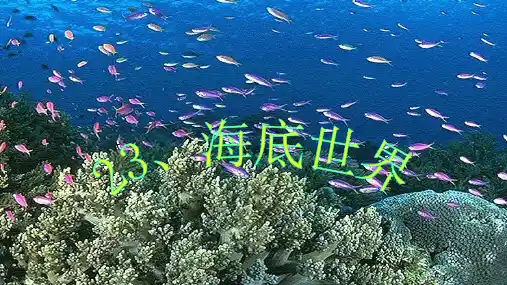 部编版三年级下册语文课件 - 23 海底世界 第一课时 (共30张PPT)