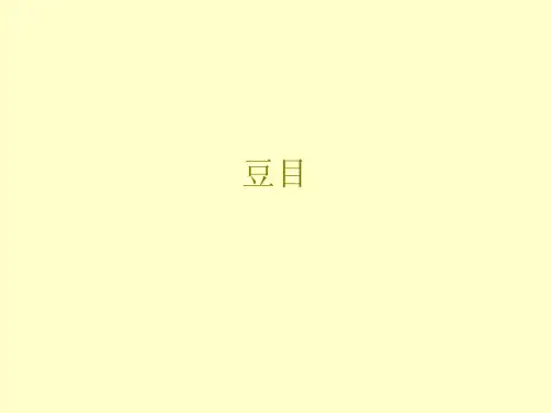豆目
