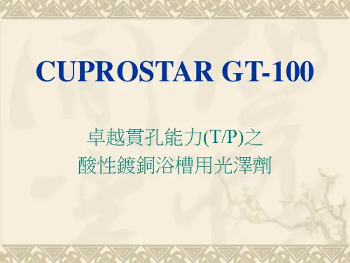 GT-100中文说明书