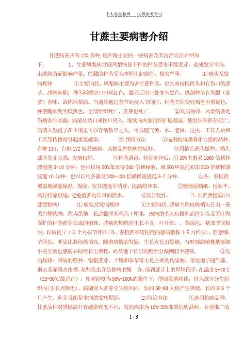 甘蔗主要病害
