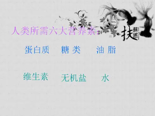 最新版初中九年级化学下册13课题2化学元素与人体健康优质课件(8)