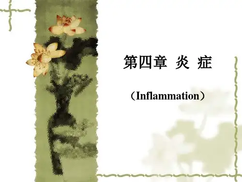 第四章 炎症