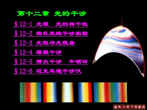第十二章 光的干涉3